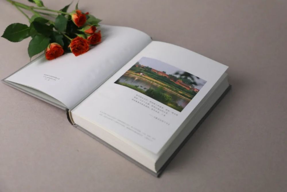 余秀华|“键盘侠克星”余秀华，以疼痛取悦人世