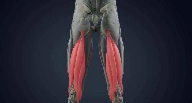 大腿后侧腘绳肌有紧绷感不注意小心拉伤