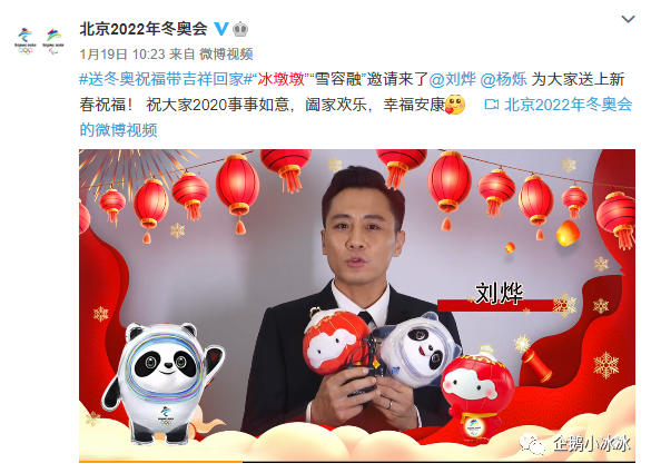 北京冬奥会|这俩刚满周岁的小家伙，已经是冬奥老员工了……