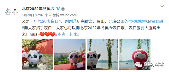 北京冬奥会|这俩刚满周岁的小家伙，已经是冬奥老员工了……