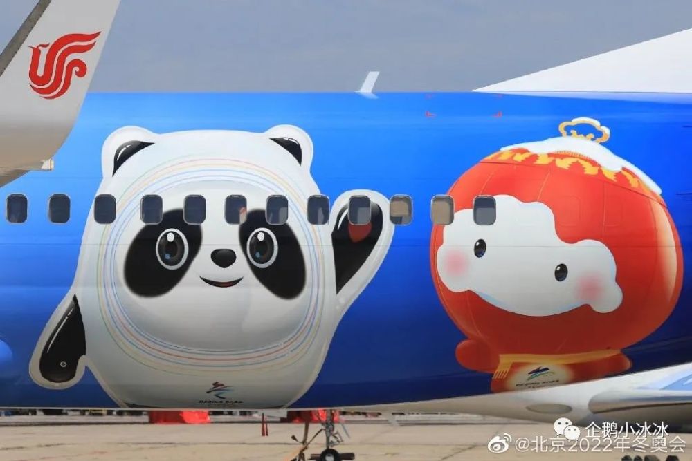 北京冬奥会|这俩刚满周岁的小家伙，已经是冬奥老员工了……