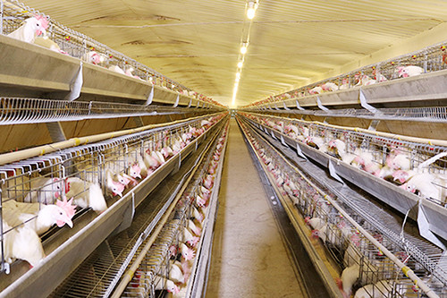 鼻炎|拿什么拯救你—顽固的鼻炎