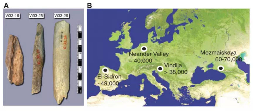 古人类基因|现代人体内发现渗入古人类基因：是毒药还是宝藏？
