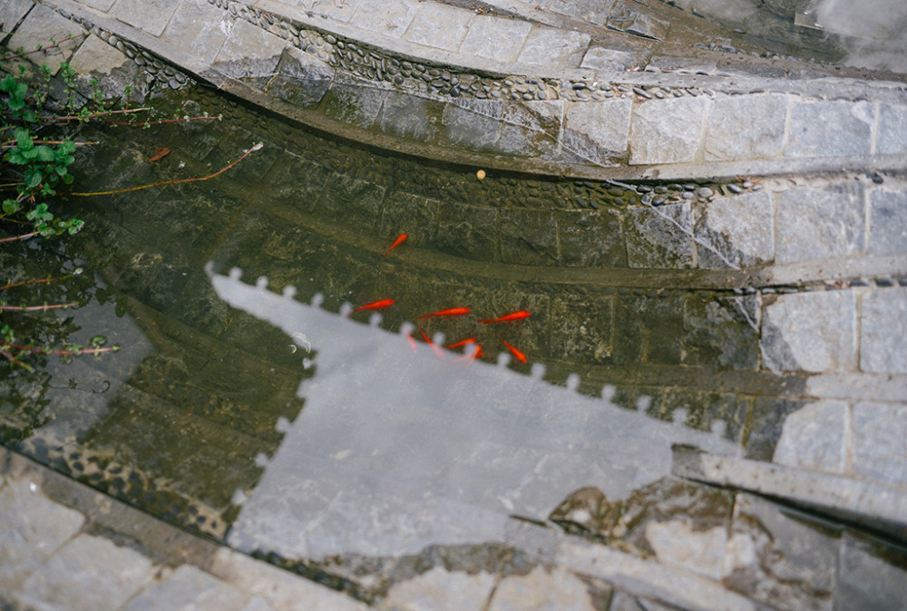 北京|探寻“京致”生活 开上途锐感受胡同里的大城小样