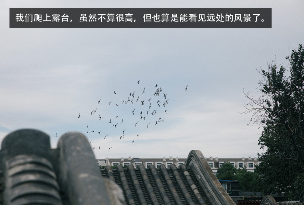 北京|探寻“京致”生活 开上途锐感受胡同里的大城小样