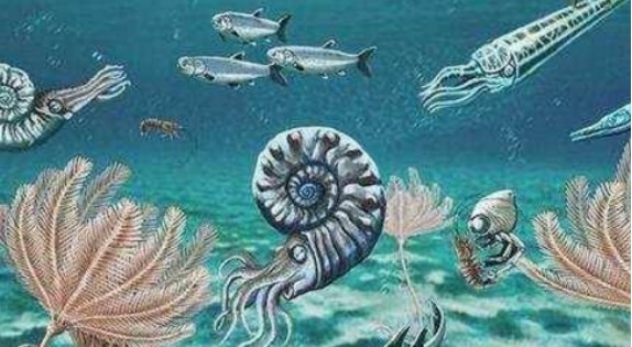 物种大灭绝|最新研究指出，第六次物种大灭绝正在进行，陆生脊椎动物处境危险