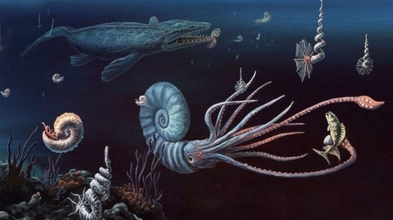 物种大灭绝|最新研究指出，第六次物种大灭绝正在进行，陆生脊椎动物处境危险