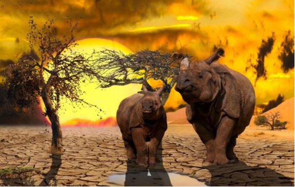 物种大灭绝|最新研究指出，第六次物种大灭绝正在进行，陆生脊椎动物处境危险