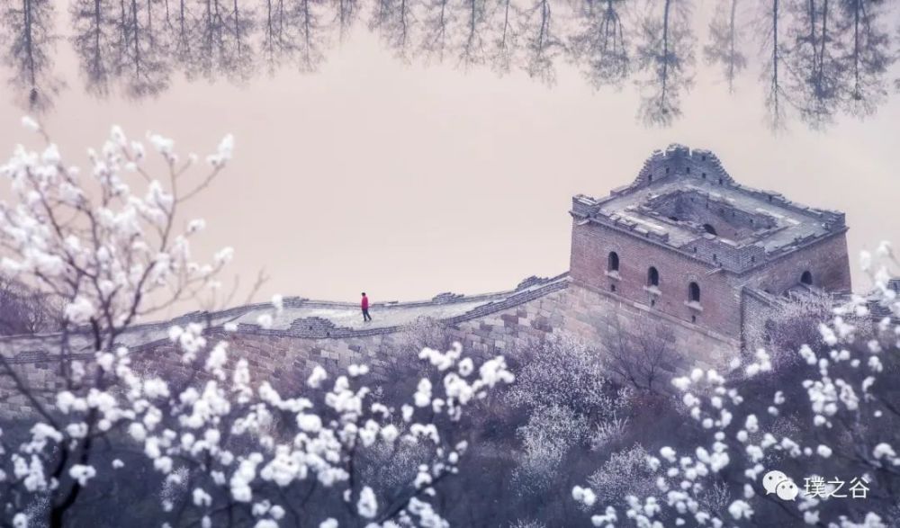 黄花城长城|用光影艺术记录长城之美的万里行者