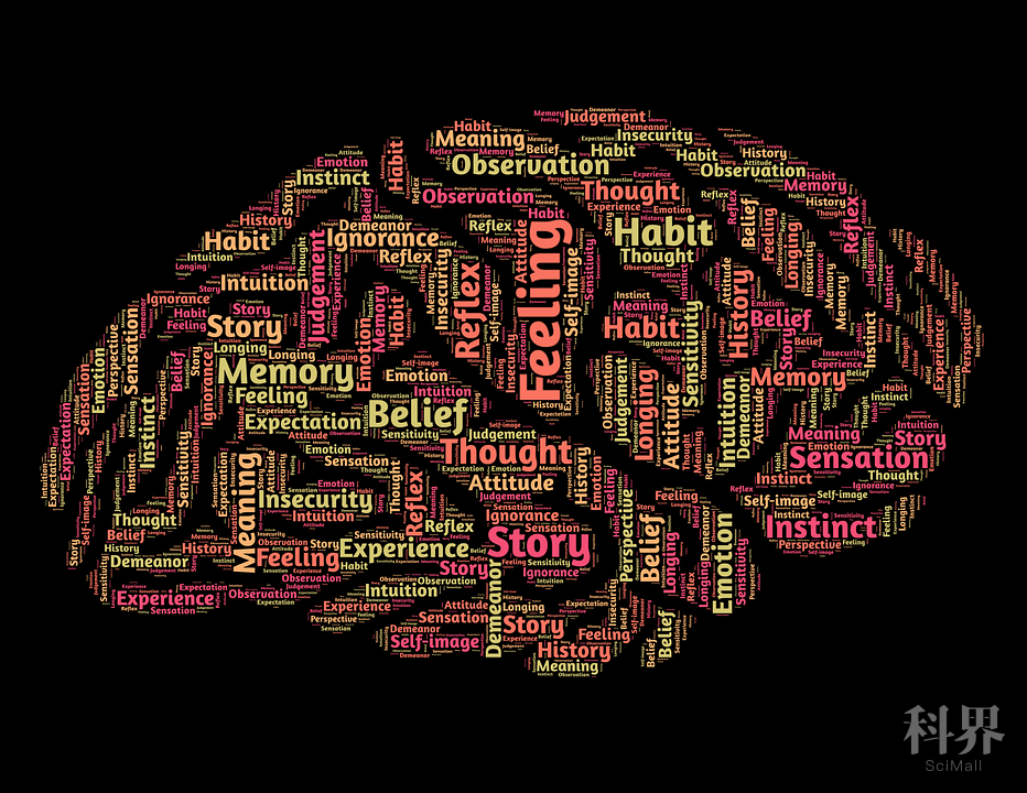 显微镜|新X射线显微镜技术助力大脑地图精确绘制