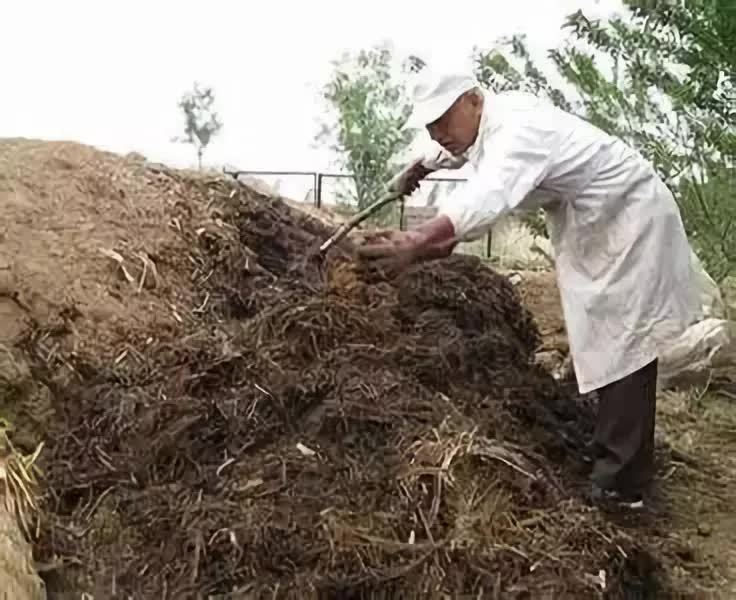 肥料|应如何使用各种肥料？很详细，很容易理解！