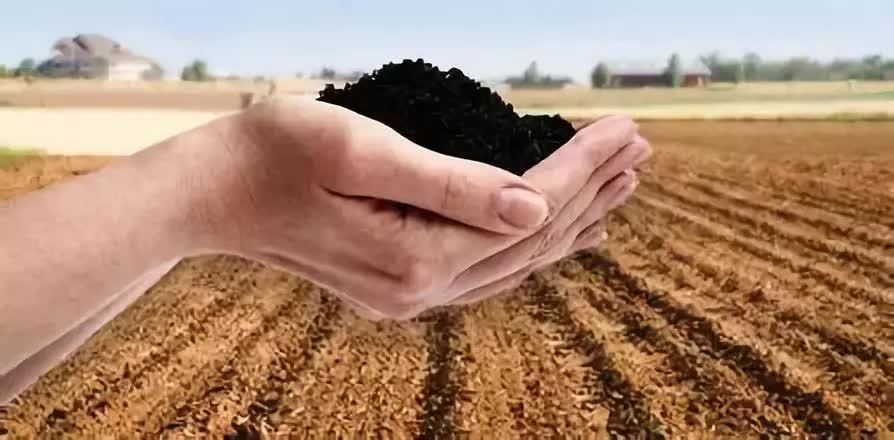 肥料|应如何使用各种肥料？很详细，很容易理解！