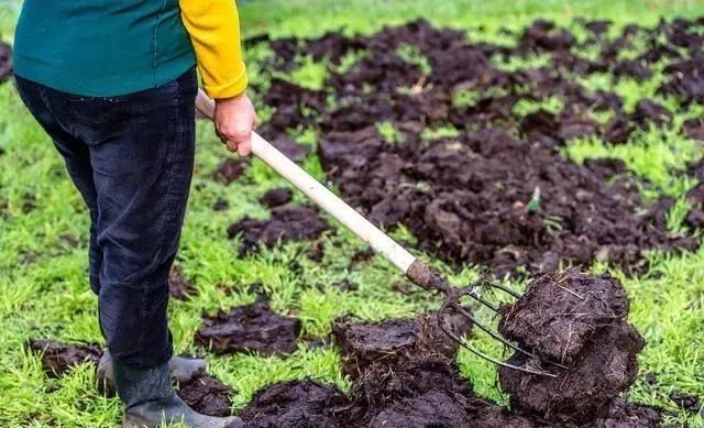 肥料|应如何使用各种肥料？很详细，很容易理解！