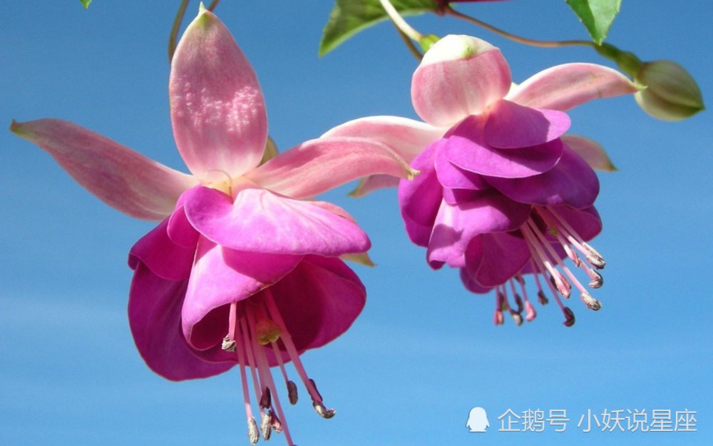 9月18日星座运势称心如意的四大星座 腾讯新闻