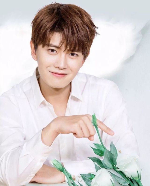 任嘉伦入选 第七届中国电视好演员 爹系 男凭啥出圈 腾讯网