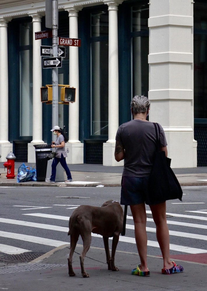 留学生金德雨飞疫情让纽约街头风景起了变化