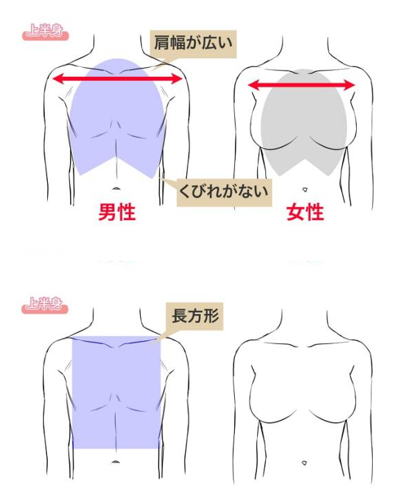 男性身体姿态动态绘画方法 姿势