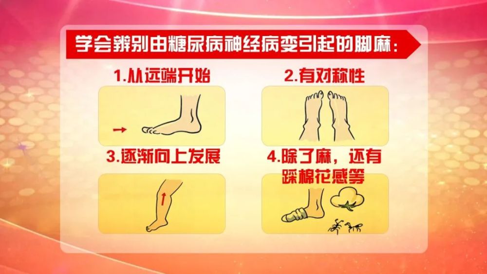 免疫力提升之道：让生活充满活力