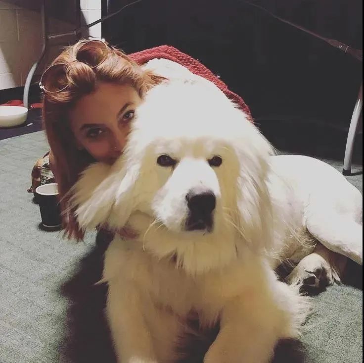 迈克尔·杰克逊|杰克逊女儿私生活曝光，从天之娇女到最惨富二代