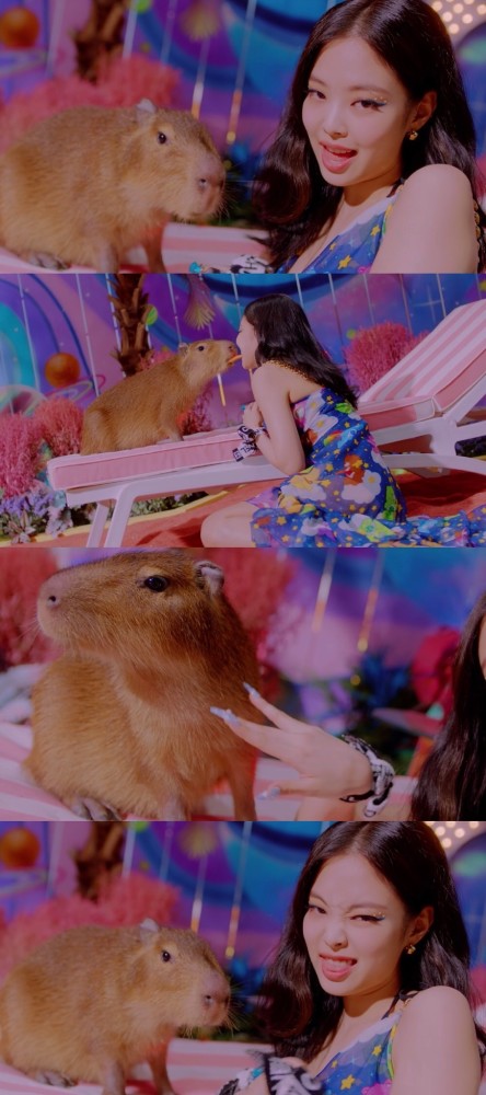 jennie金智妮‖ice cream_腾讯新闻