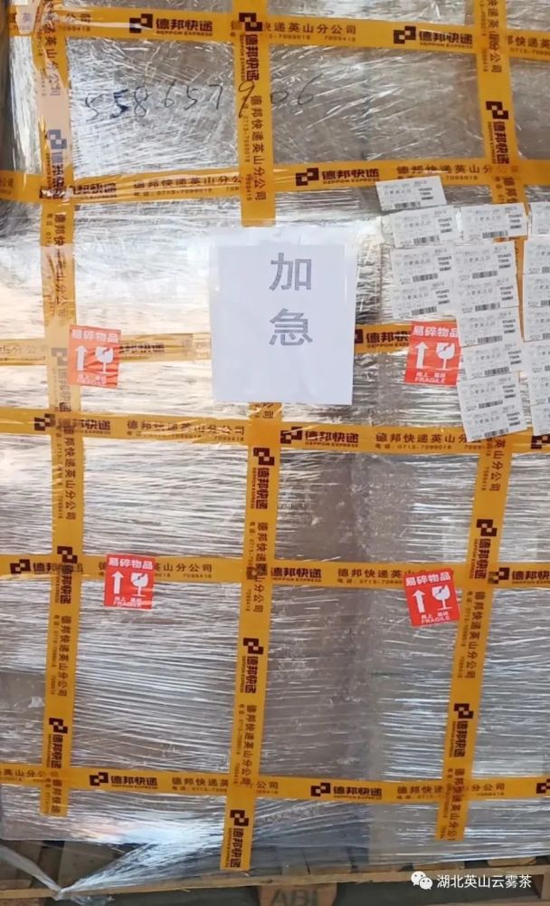 大别茶访英山云雾茶包装出货 文字来源   大别茶坊 编辑   周鑫