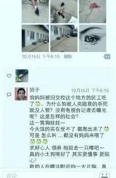 橘座|上线9.8，B站又做了件好事