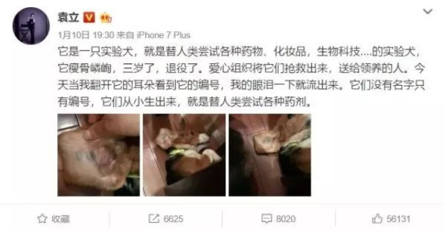 橘座|上线9.8，B站又做了件好事