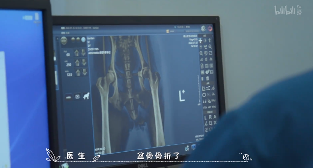 橘座|上线9.8，B站又做了件好事