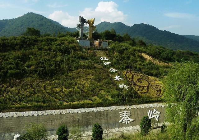 球蟒|15年没遇过雄蛇！62岁雌蛇产下7枚蛇卵，是什么原因？