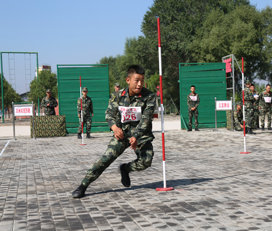 蛇形跑拔河比賽立定跳遠負重組合練習器械體操手榴彈投擲咬牙堅持奔向