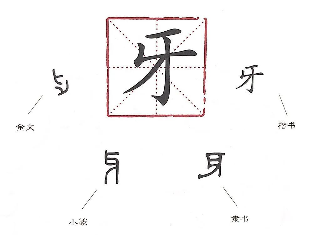 漢字娃娃∣圖圖姐姐帶你瞭解漢字那些事兒牙齒