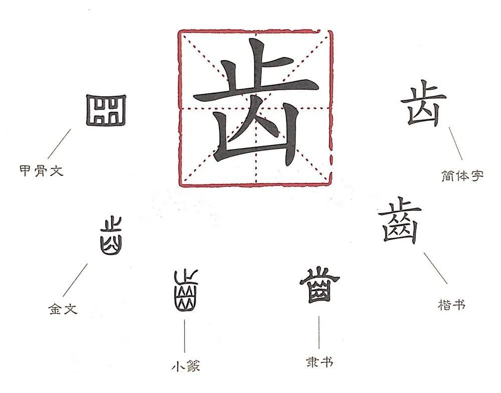 牙字的笔画顺序 腾讯网