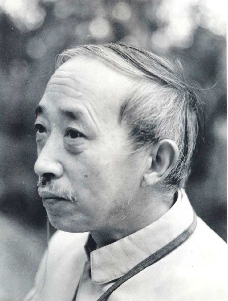 徐无闻|徐无闻：雅容隽逸，卓然大家