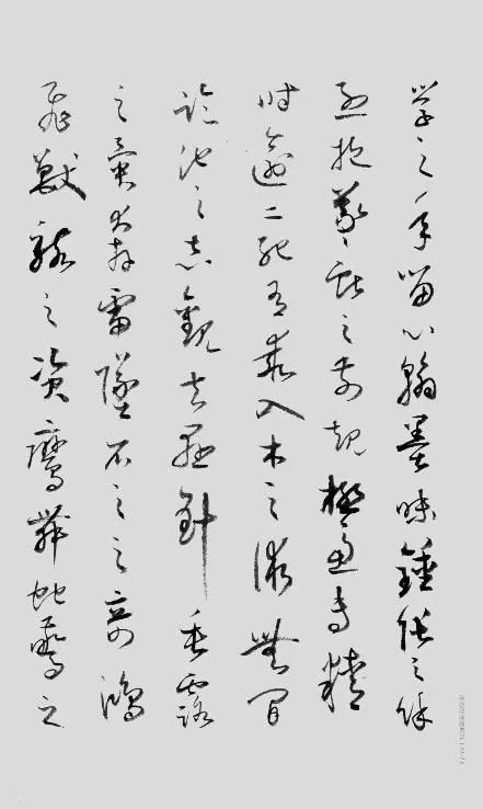 徐无闻|徐无闻：雅容隽逸，卓然大家