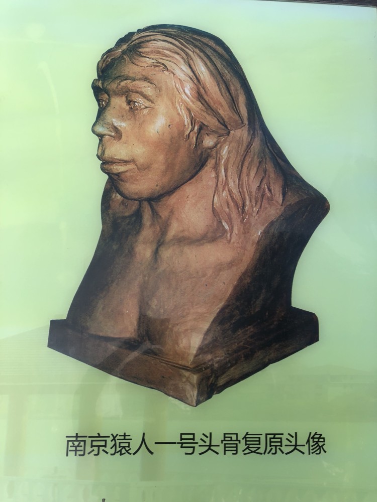 南京猿人洞位于南京市江宁区汤山镇,它是1993年葫芦洞内出土了一具较