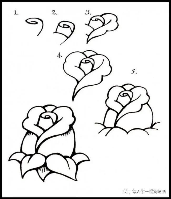 每天学一幅简笔画玫瑰花苞简笔画画法简单玫瑰花卡通画绘画教程