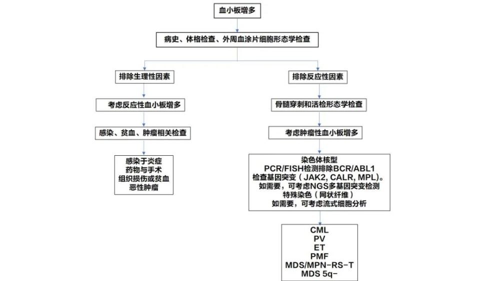 为血液科医师 检验医师 全科医师量身定制的它来了 腾讯新闻