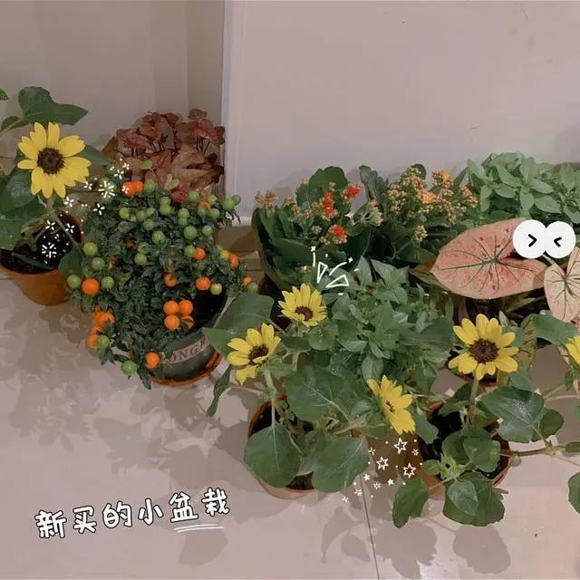 方媛|“天王嫂”方媛开心晒贵妇生活，大手牵小手幸福满满，母女同框似姐妹