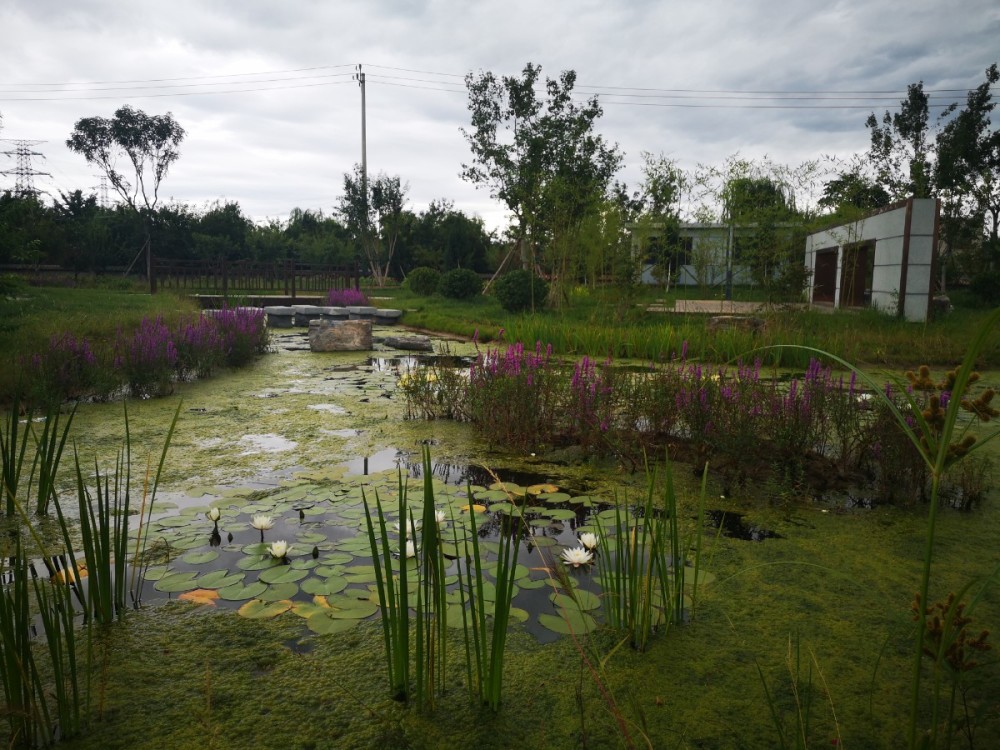 南沙河|海淀北部地区再添一座再生水厂，为南沙河补充高品质再生水