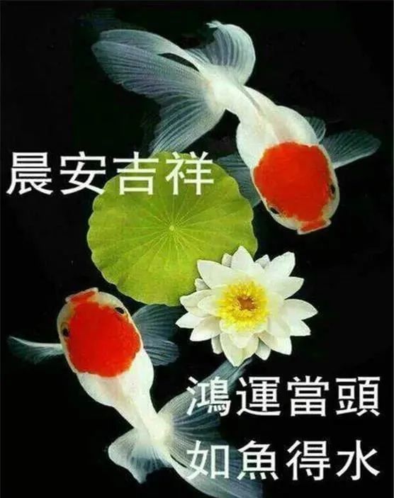 创意的秋天早上好说说祝福语,早安问候语图片带字
