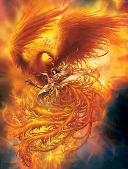 百禽之王的神鸟凤凰,它究竟起源自何方,又是否真的存在过?