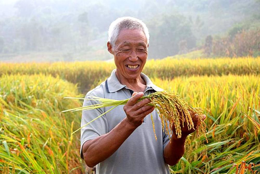 將持續到10月中旬四川達州今年的農民豐收節活動眾多