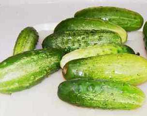 picklecucumber其实就是更幼齿的小黄瓜