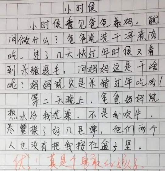 小学生奇葩搞笑作文老师倍感无语家长哭笑不得