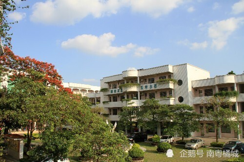 图片来源:石排中心小学