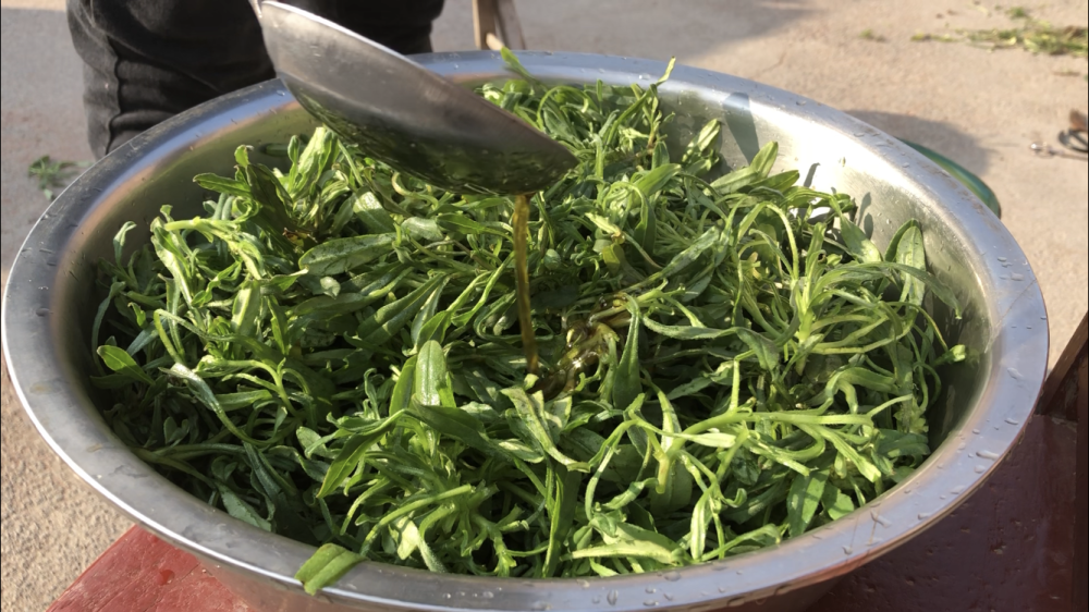 河南蒸菜，這20種菜蒸熟超好吃，5分鐘出鍋，簡(jiǎn)單營(yíng)養(yǎng)不上火(圖3)