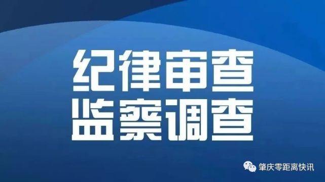 經查,楊景國在擔任肇慶啟聰學校校長期間,違反政治紀律,干擾巡察,對抗