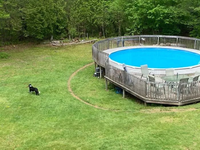 狗狗|26张图告诉你“时间”的力量有多恐怖！