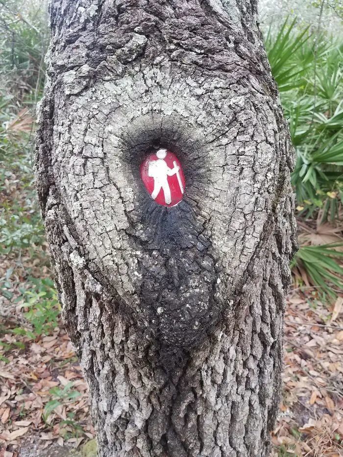 狗狗|26张图告诉你“时间”的力量有多恐怖！