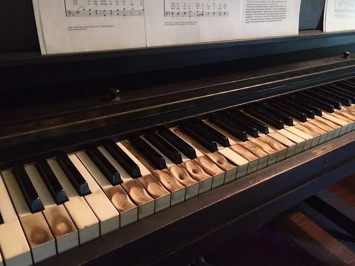 狗狗|26张图告诉你“时间”的力量有多恐怖！